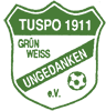 Turn- und Sportverein Grün-Weiß Ungedanken
